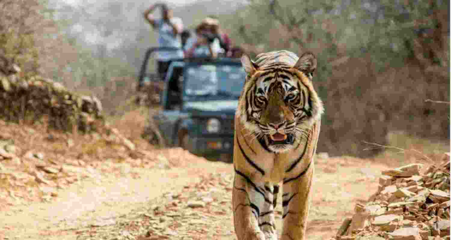 Representational image.