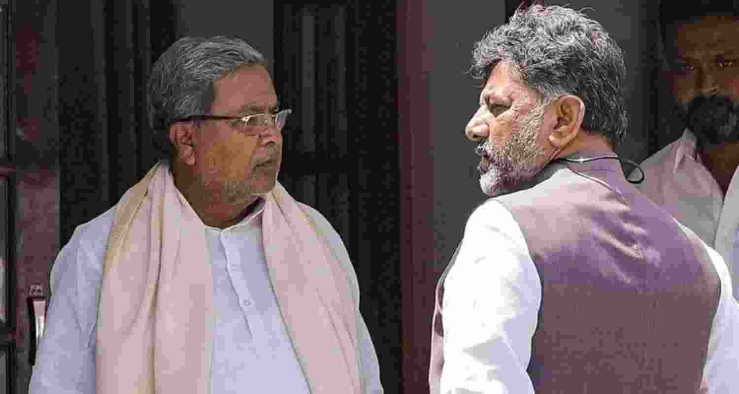 A representative image.