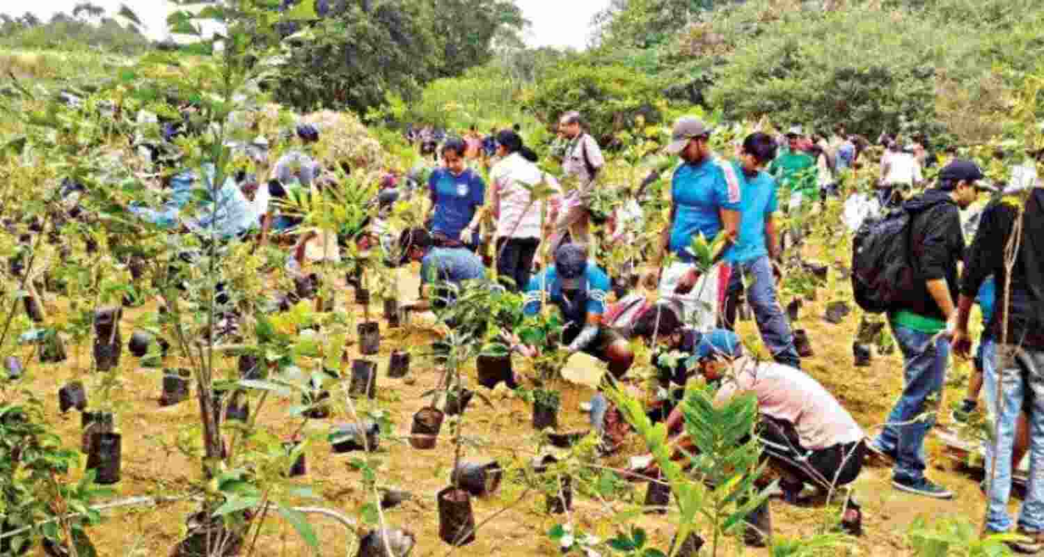 CM Naidu Targets 50 Percent Green Cover by 2047.