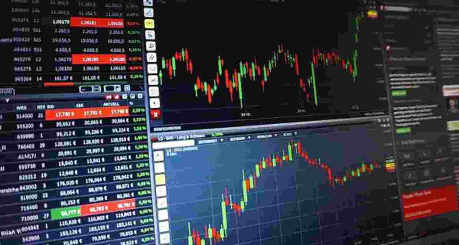 Survey cautions against 'meaningful' market correction in 2025