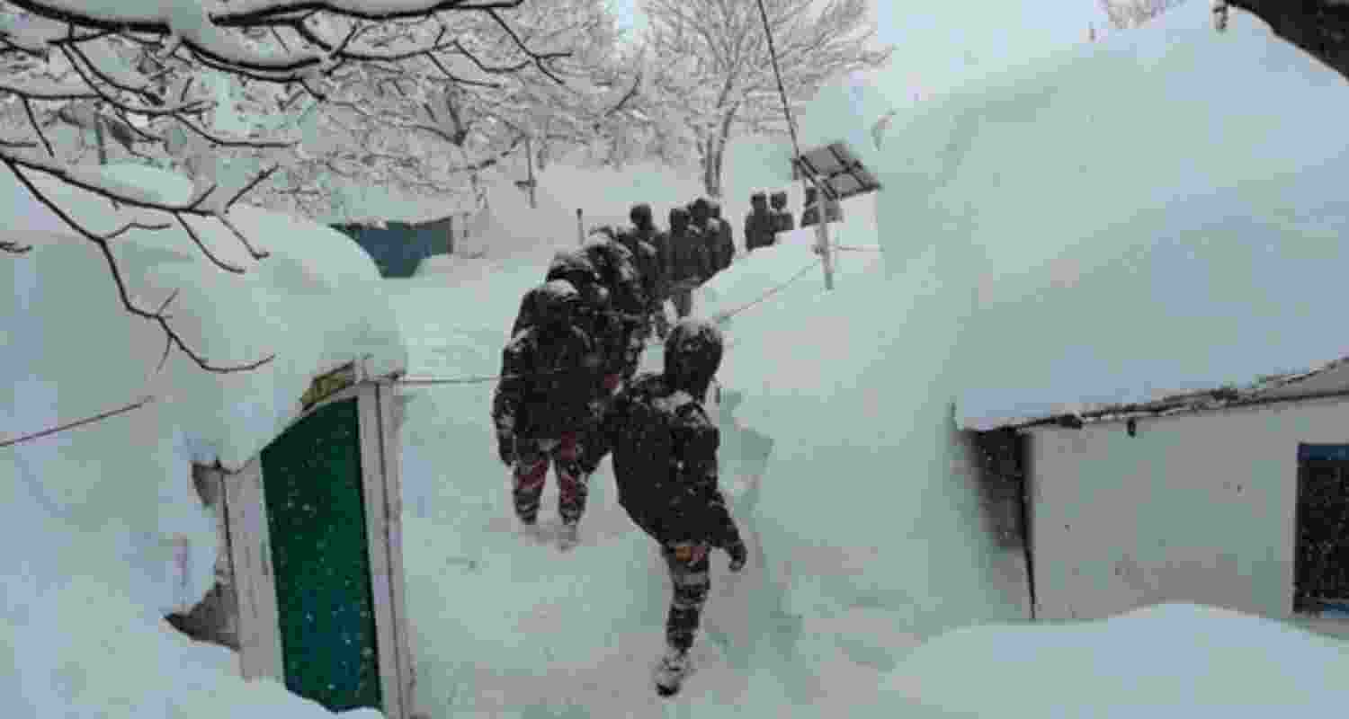 Survivor recalls horror: Woke up to mountain of snow