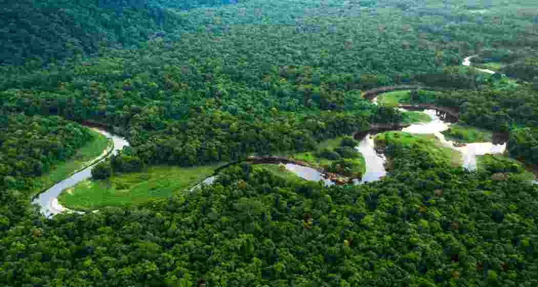 Image for representative use only.