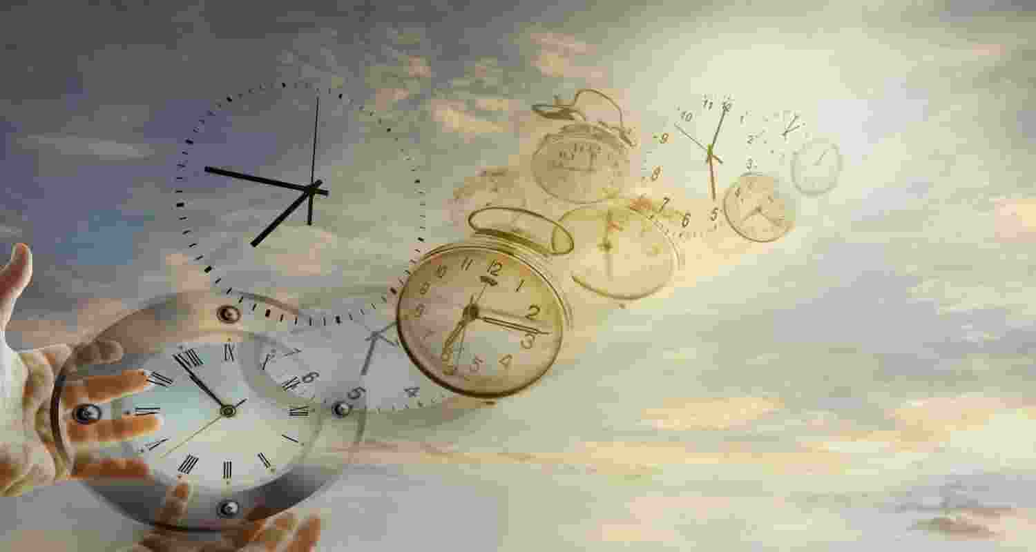 Animal time perception linked to life pace