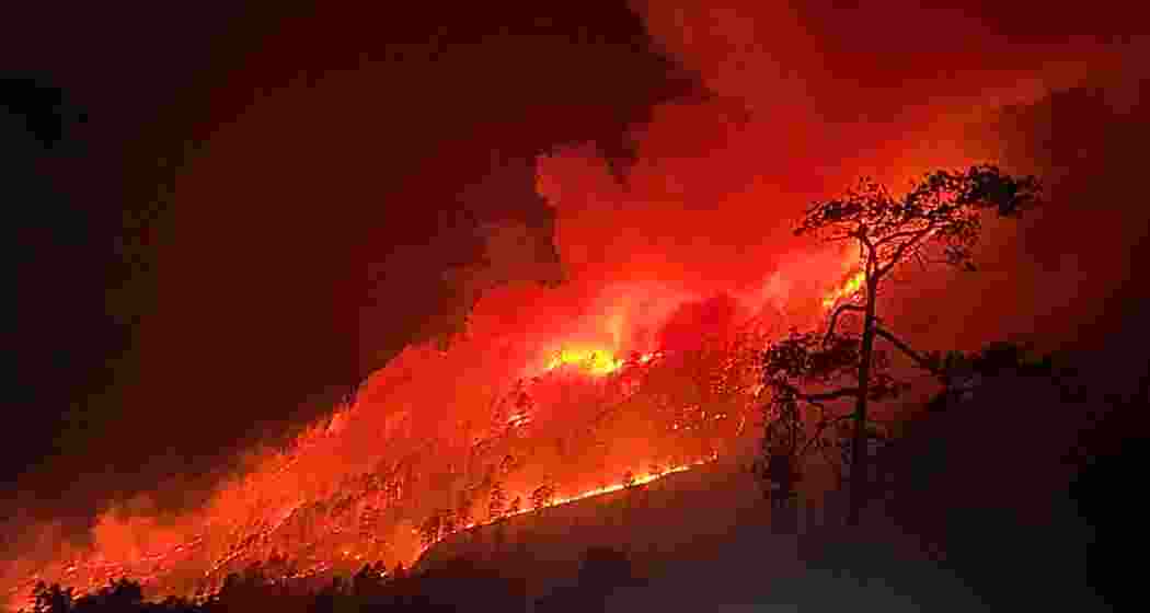 Forest fire near border security installations in Arunachal Pradesh.