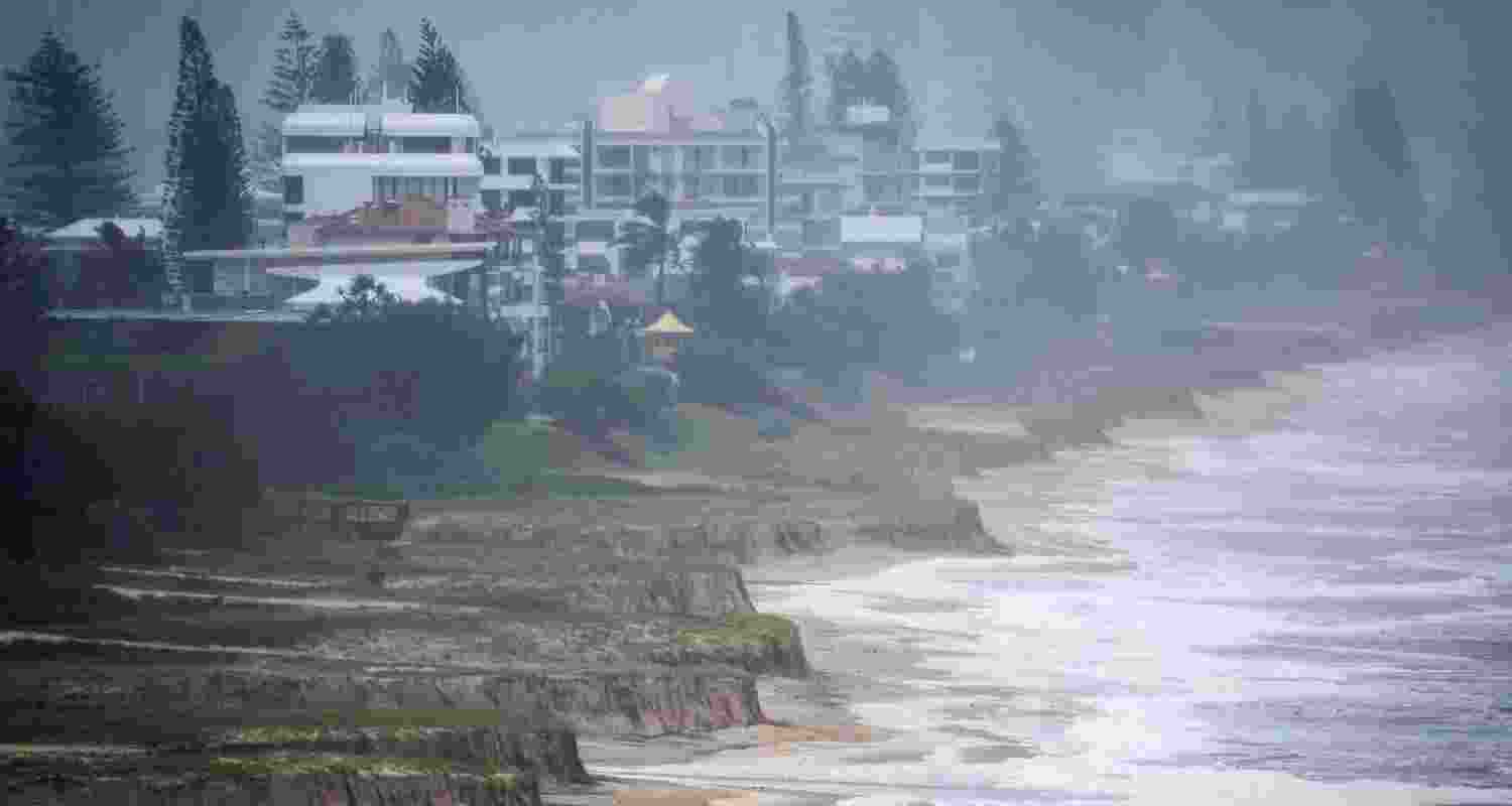 A representative image.