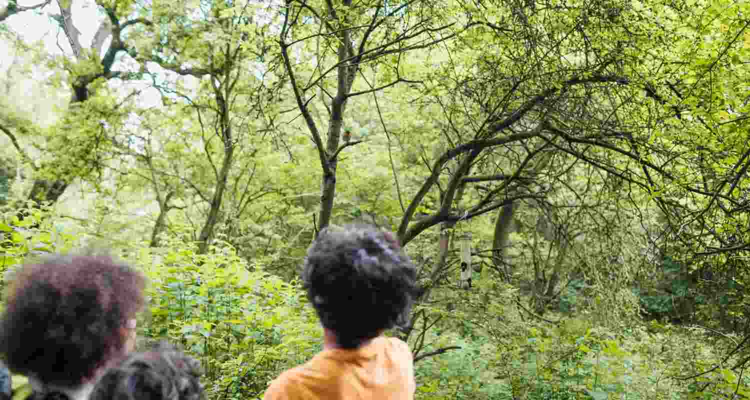 Andaman to promote bird watching, boost eco-awareness