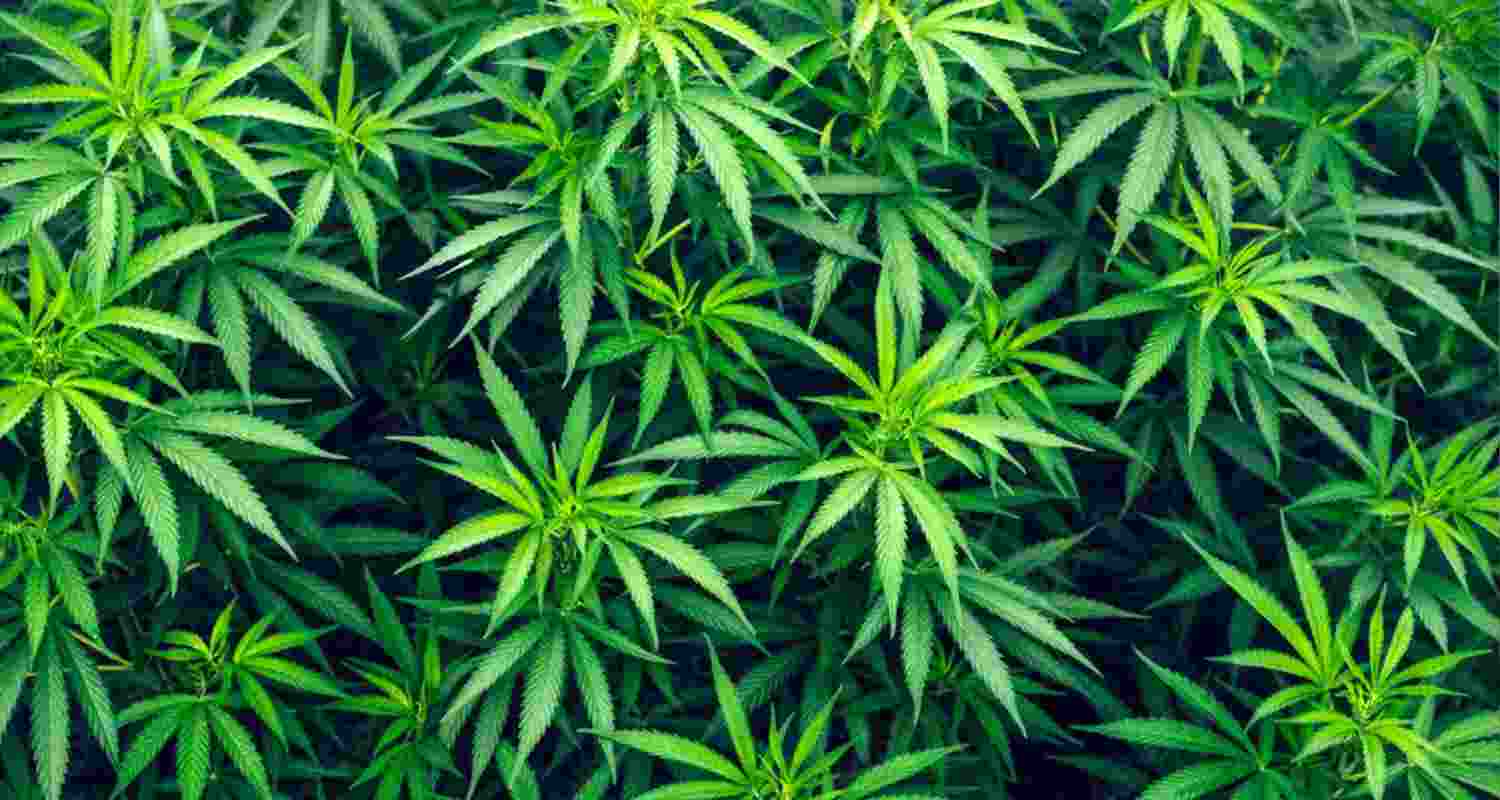 Representative Image.