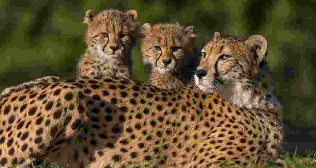 Representative image.