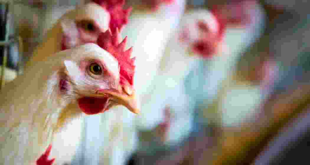 Representational image.