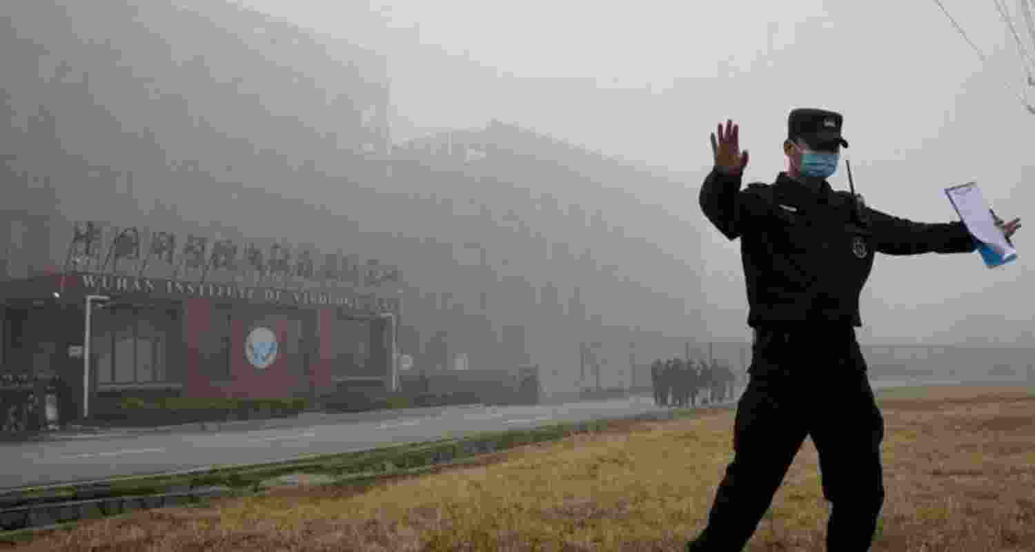 A representative image.