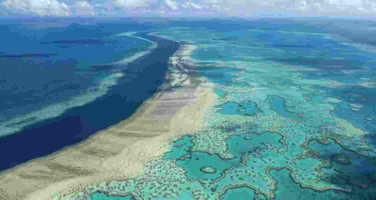 Ancient coral reefs reveal urgent truths about today's climate