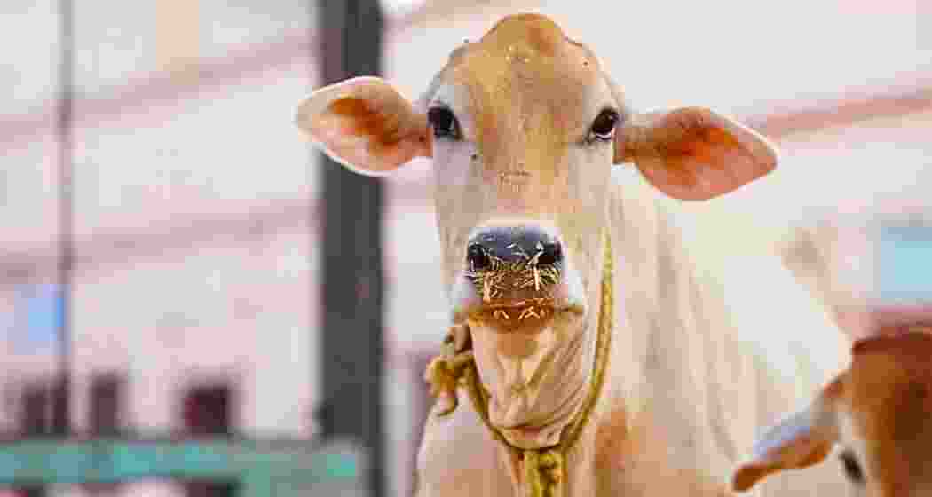 Representational image.