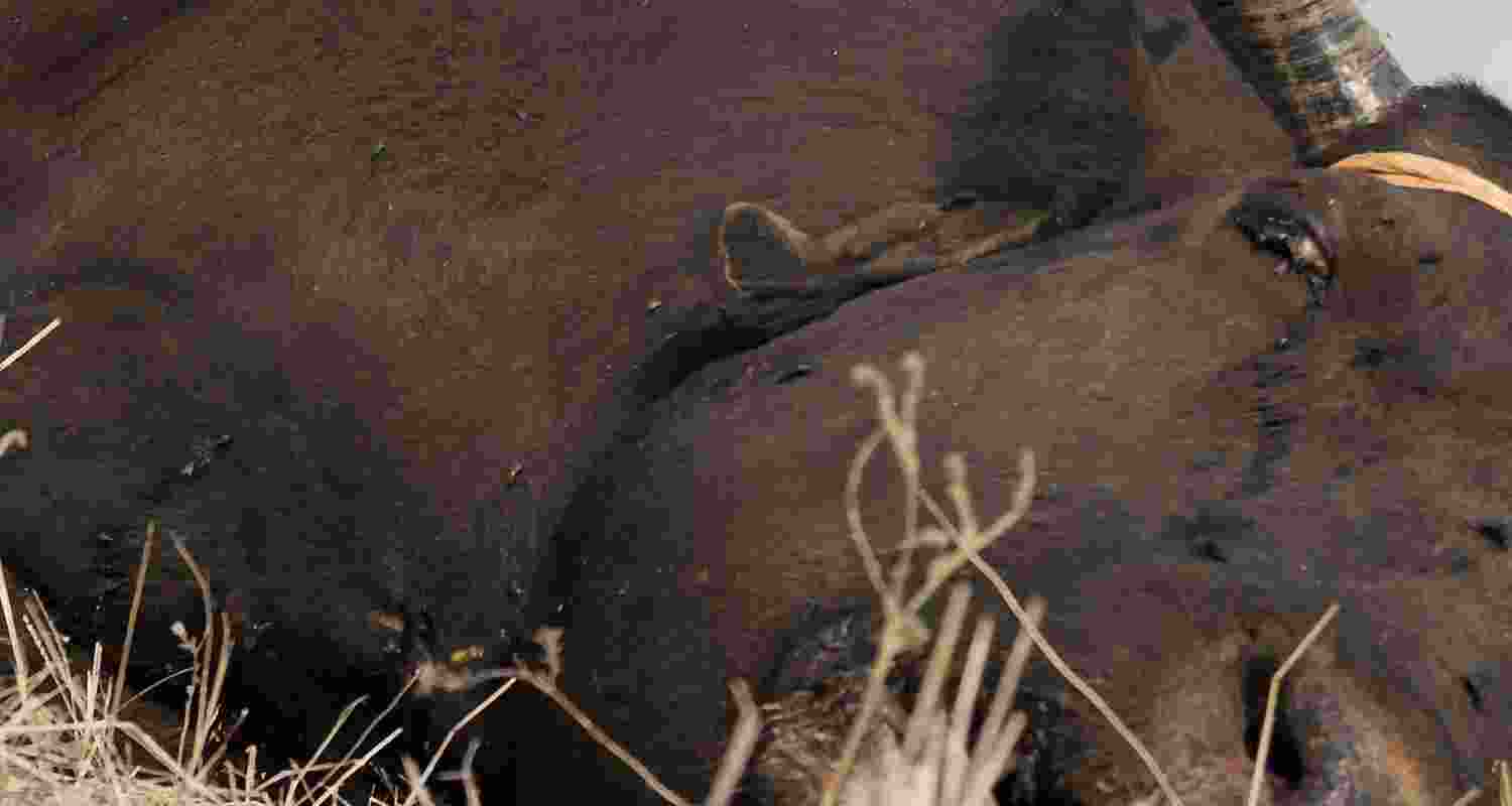 Representative Image. 