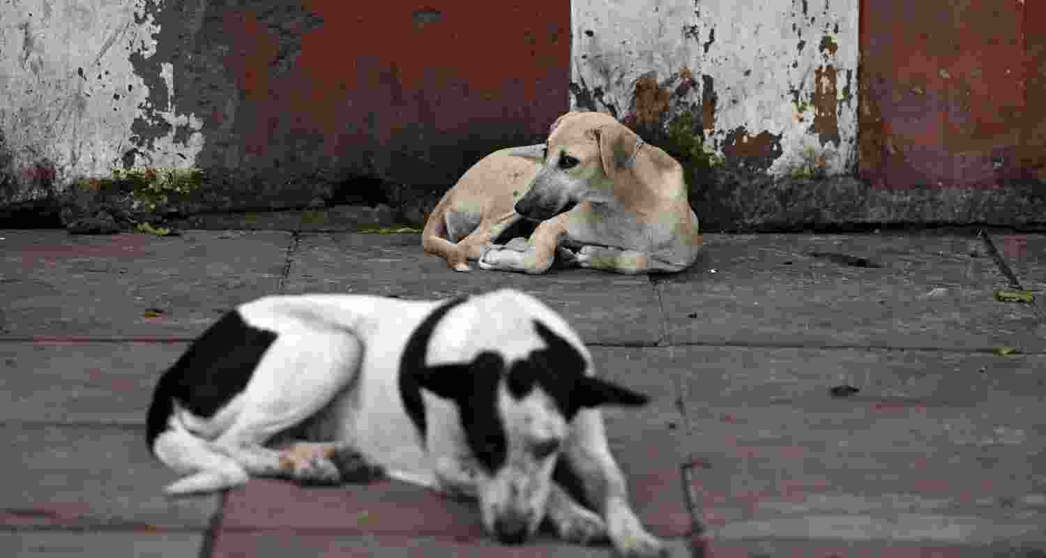 A representative image. A representative image.