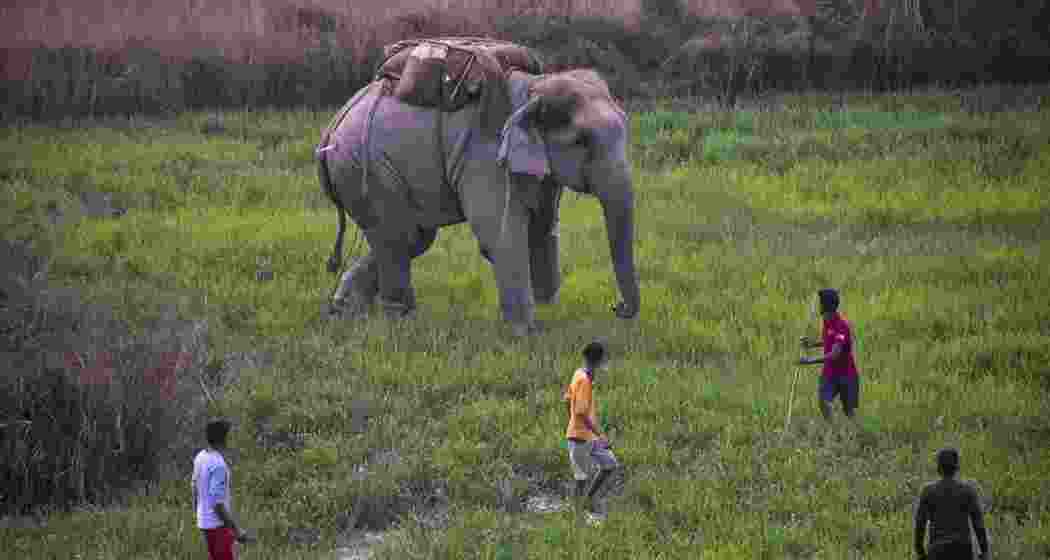 A representative image.