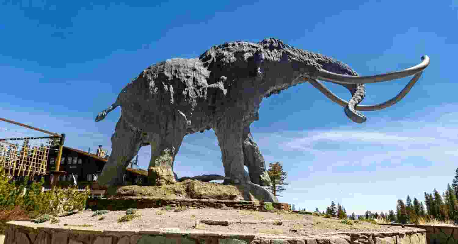 Does the hope of ‘resurrection’ make extinction acceptable?