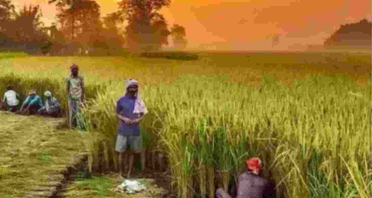 Tamil Nadu farmers