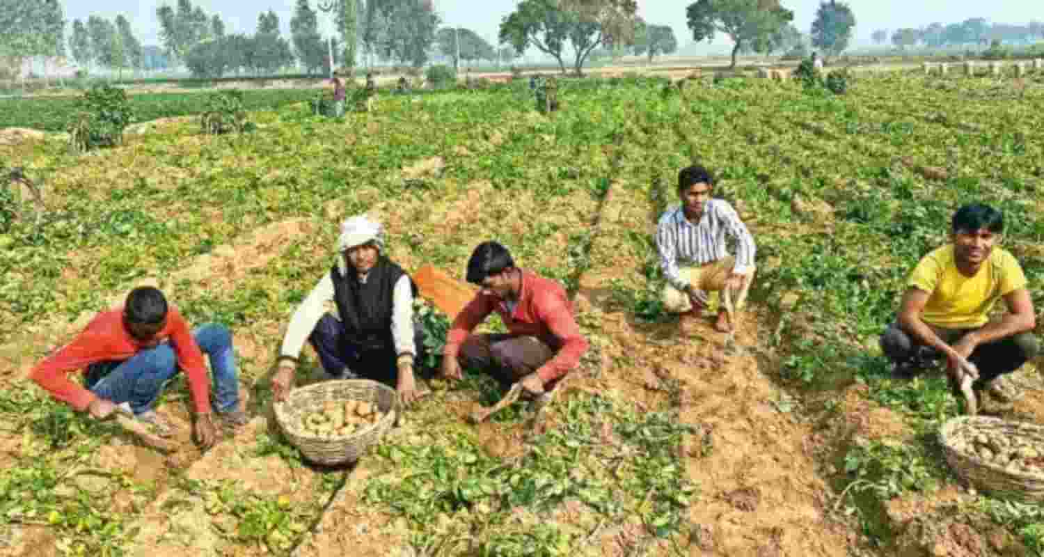 Representational image.