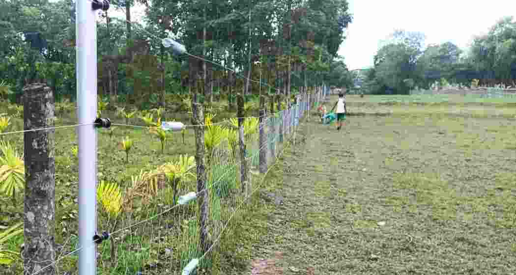 A fencing erected at Bichbhanga village, where repeated elephant incursions have caused deaths and damage, as part of the Jalpaiguri Forest Department’s new solar-powered barrier project.
