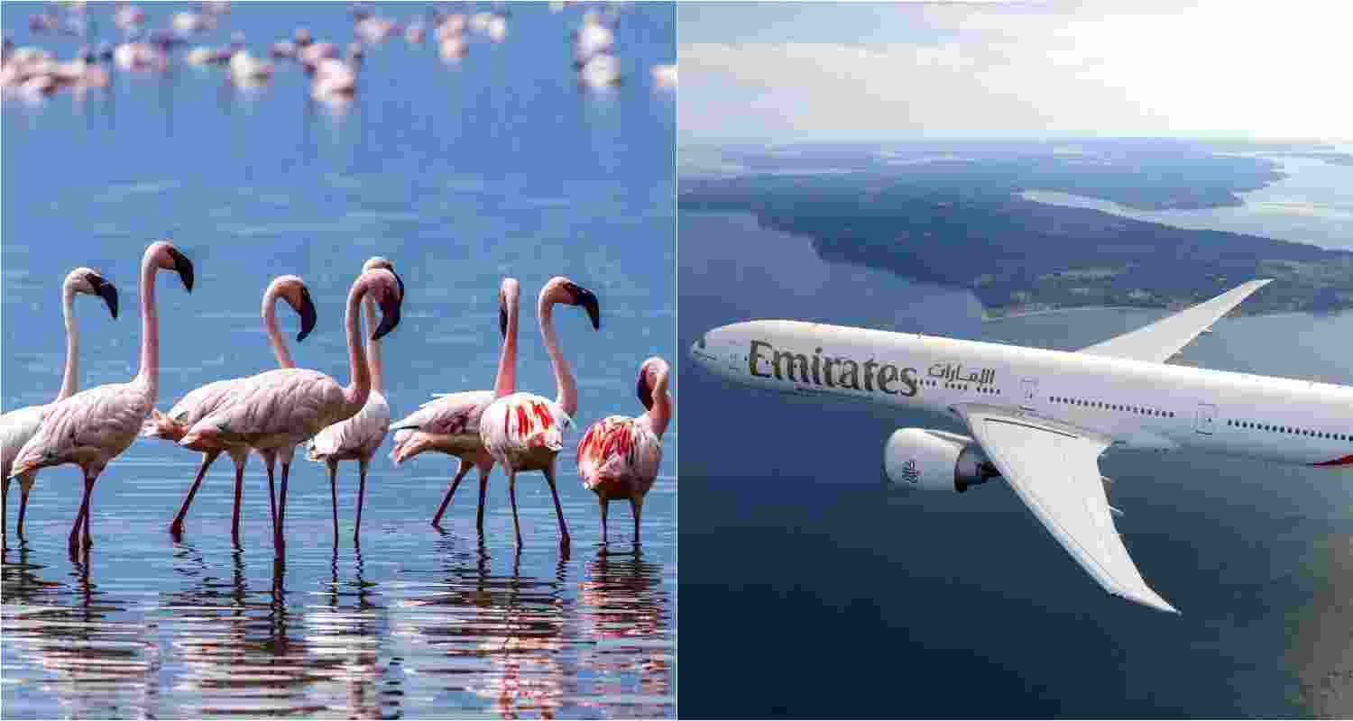 Image for representative use only. Image for representative use only.