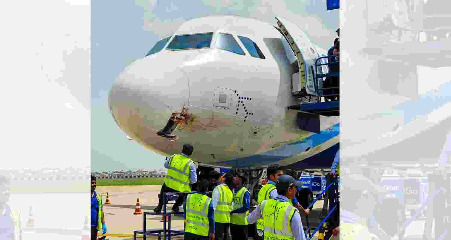 Damaged nose of an IndiGo aircraft after a bird strike at Birsa Munda Airport, in Ranchi, Monday.