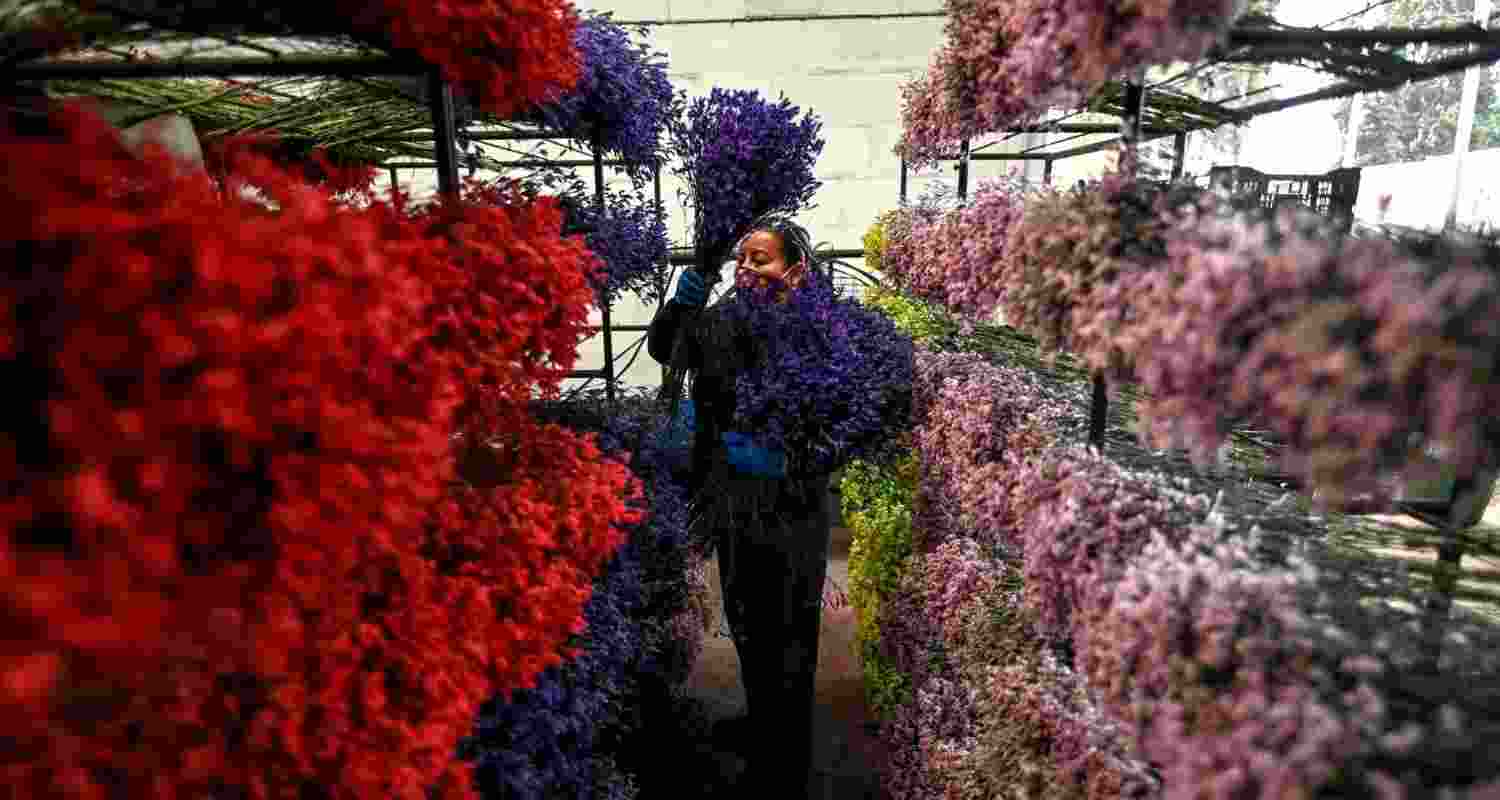 Representational image.