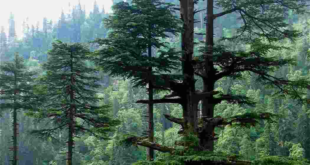 Representational image.