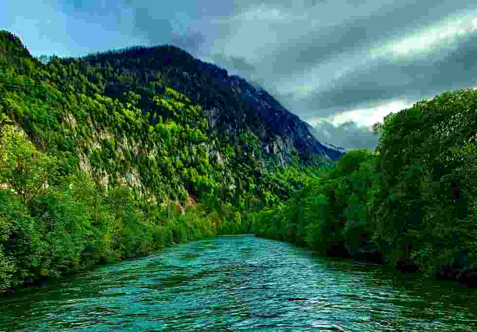 Analysing environmental DNA (eDNA) – the DNA left behind by organisms in life and death – could unlock the secrets hidden within freshwater streams, rivers and lakes. This offers hope for a more efficient monitoring of these vital ecosystems. Analysing environmental DNA (eDNA) – the DNA left behind by organisms in life and death – could unlock the secrets hidden within freshwater streams, rivers and lakes. This offers hope for a more efficient monitoring of these vital ecosystems.