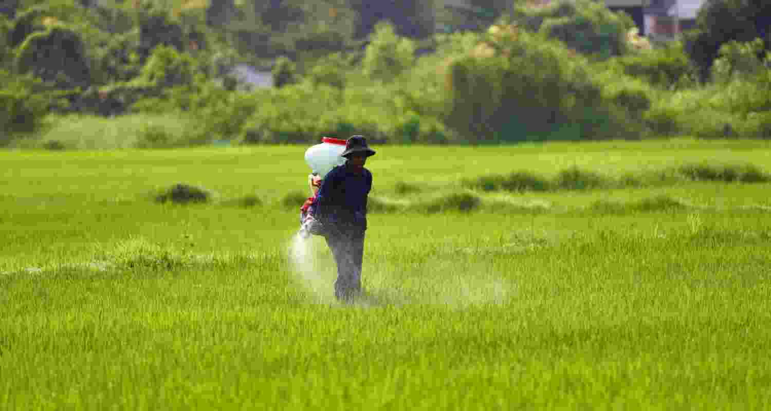 While China had only recently resumed exports of fertilisers, such as urea, to numerous countries including India, the relief was short-term