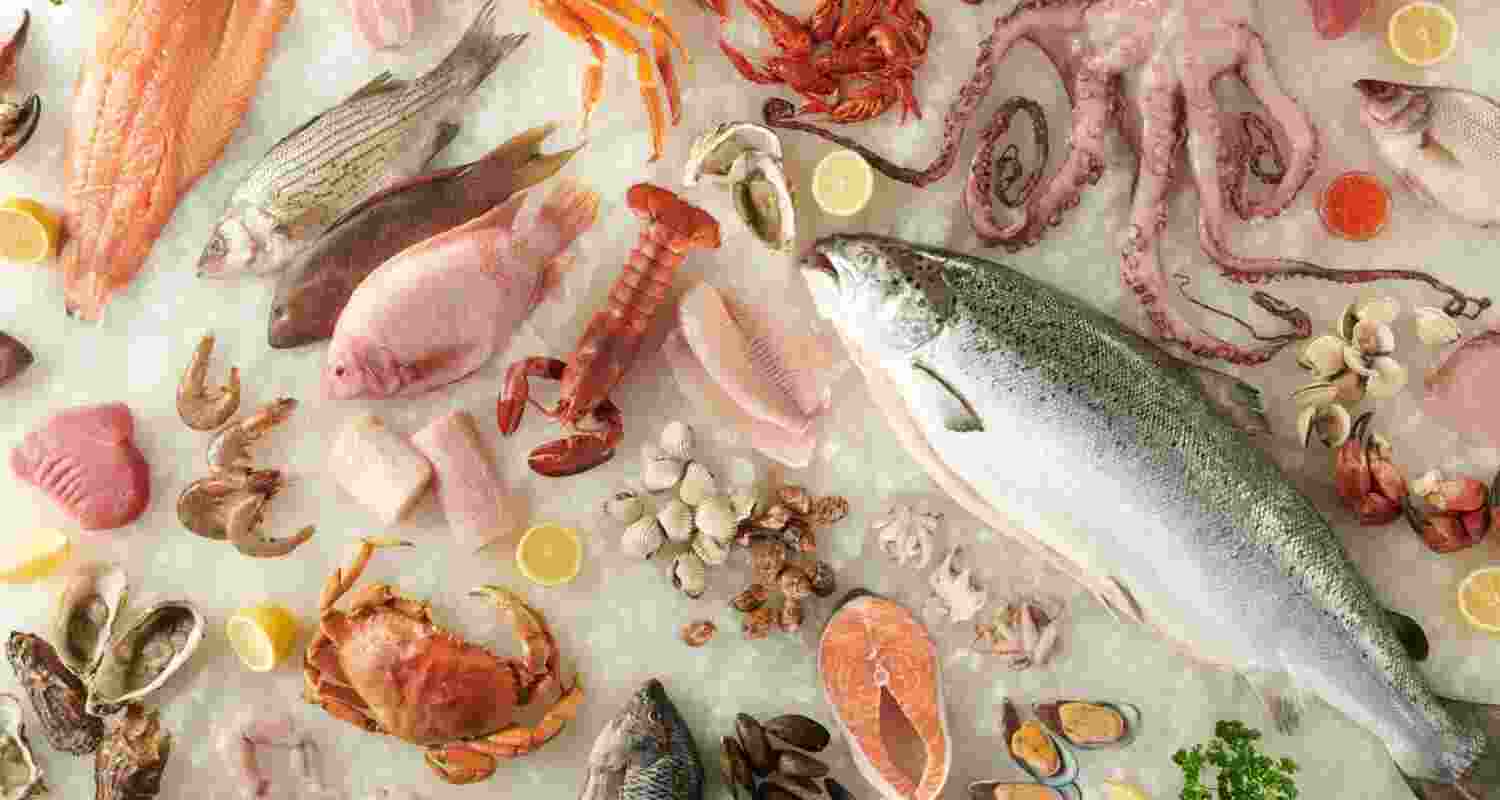 It will witness participants from over 15 countries, including major markets such as the US, European Union, Vietnam, UAE, Germany, Belgium, Japan and China