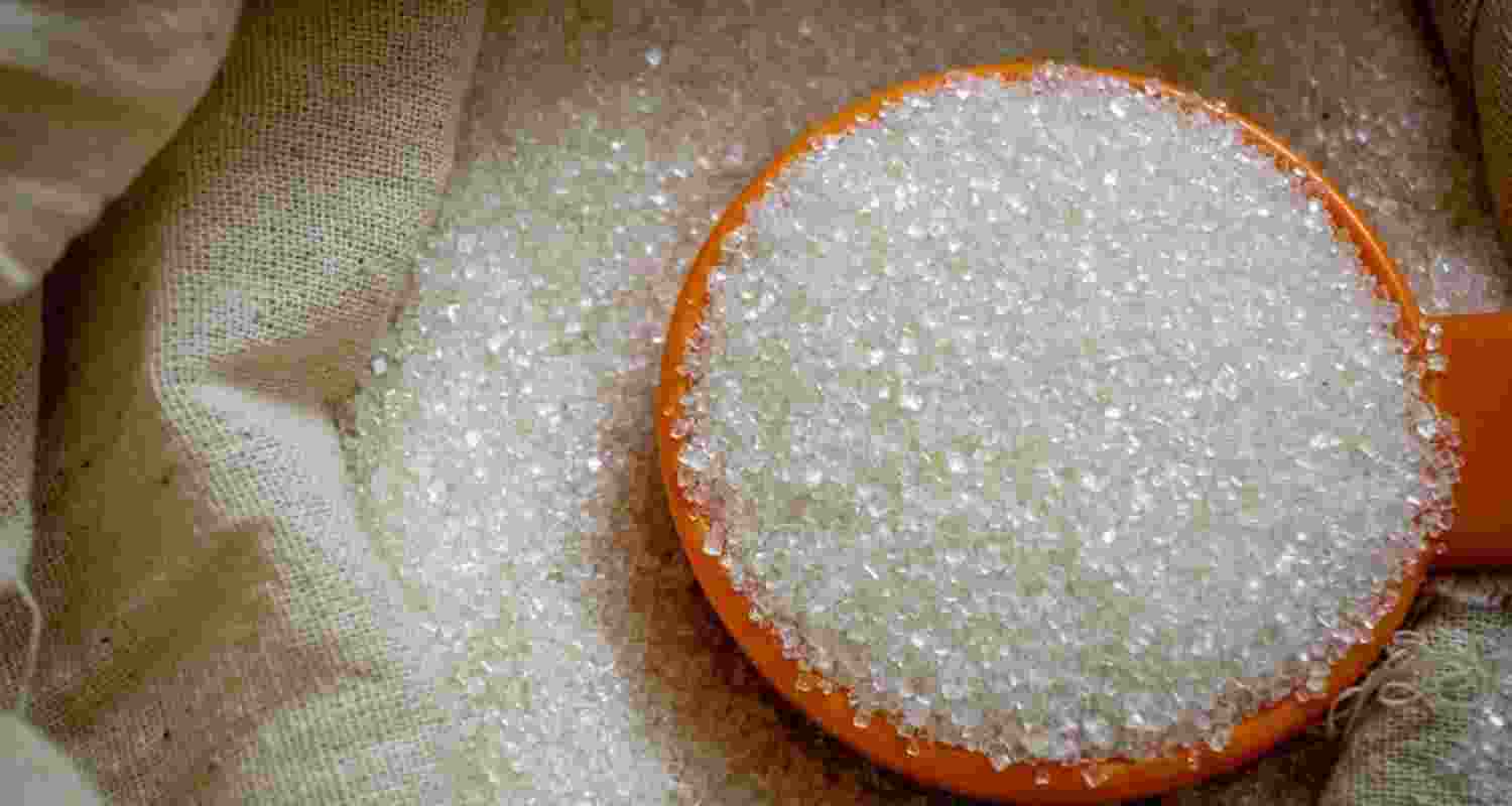 The government permitted sugar exports for 2024-25 on January 20, 2025, allowing total shipments of 10 lakh tonnes for the marketing year