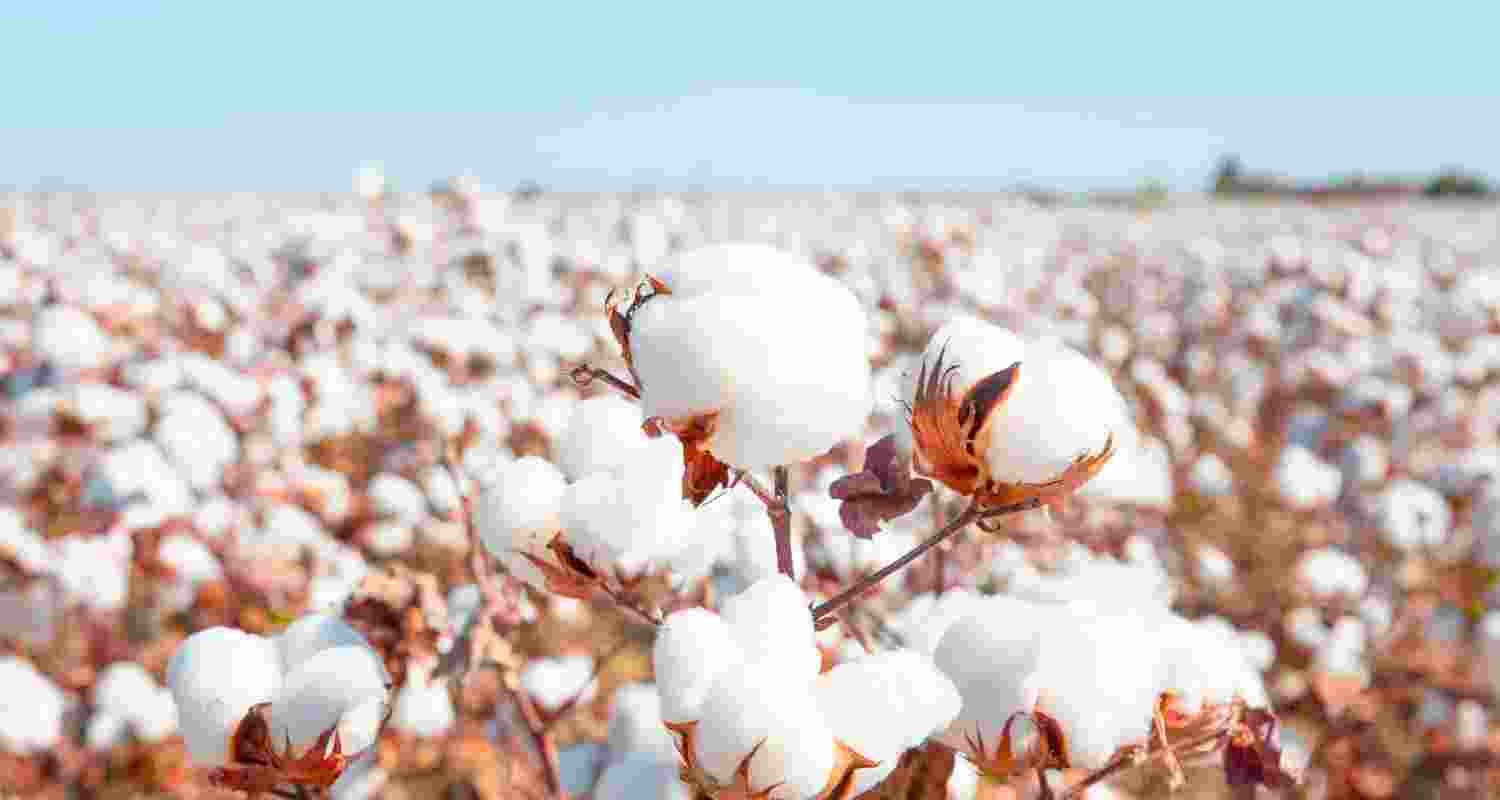 The import duty-relief by India comes in the wake of the US administration imposing a steep 50 per cent duty on Indian imports to the US, a move that has the Indian textile industry worried