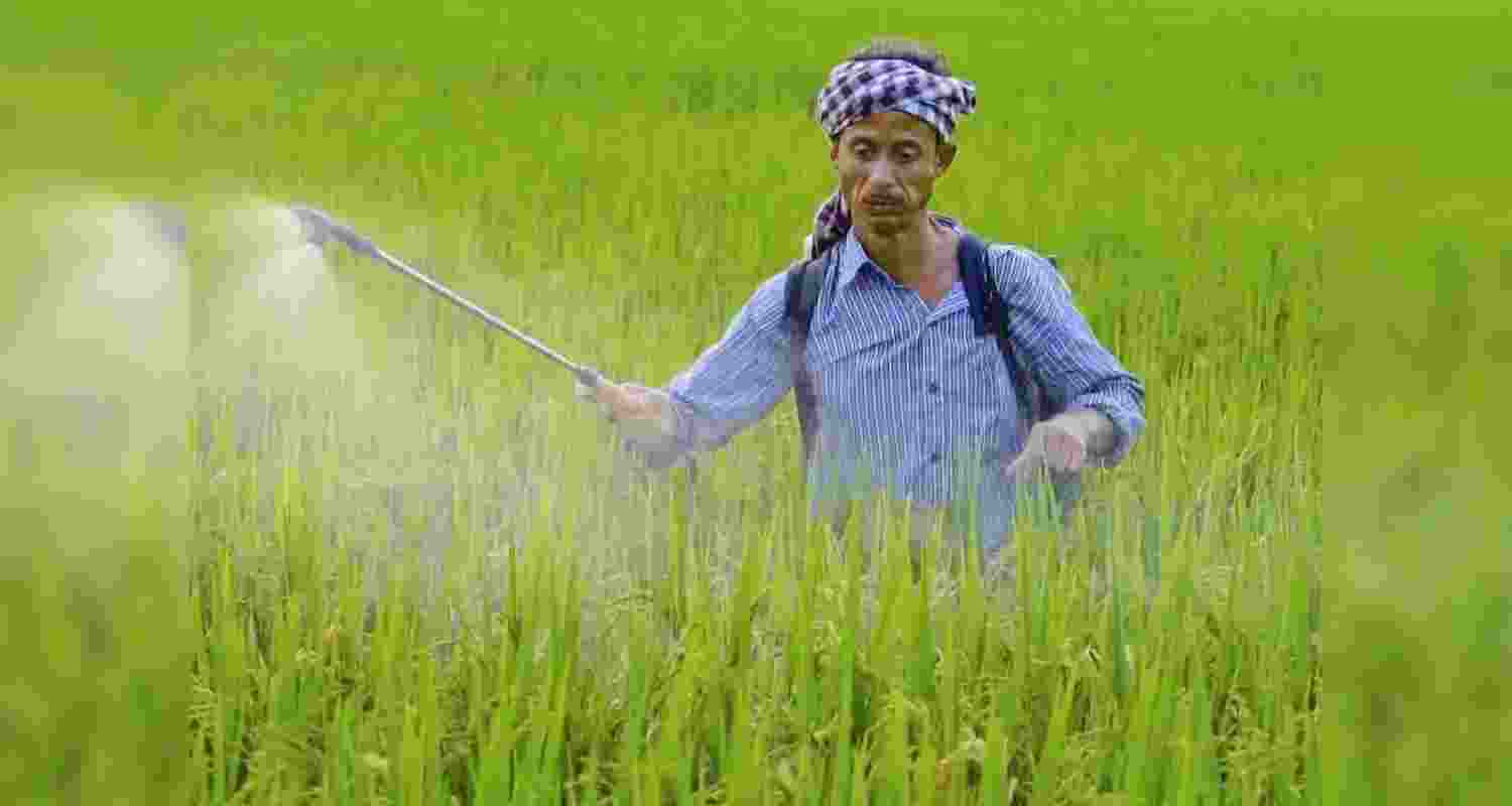 After years of dependence on fertiliser imports, India has finally made a breakthrough in developing its own water-soluble fertiliser technology, announced the Soluble Fertilizer Industry Association (SFIA).