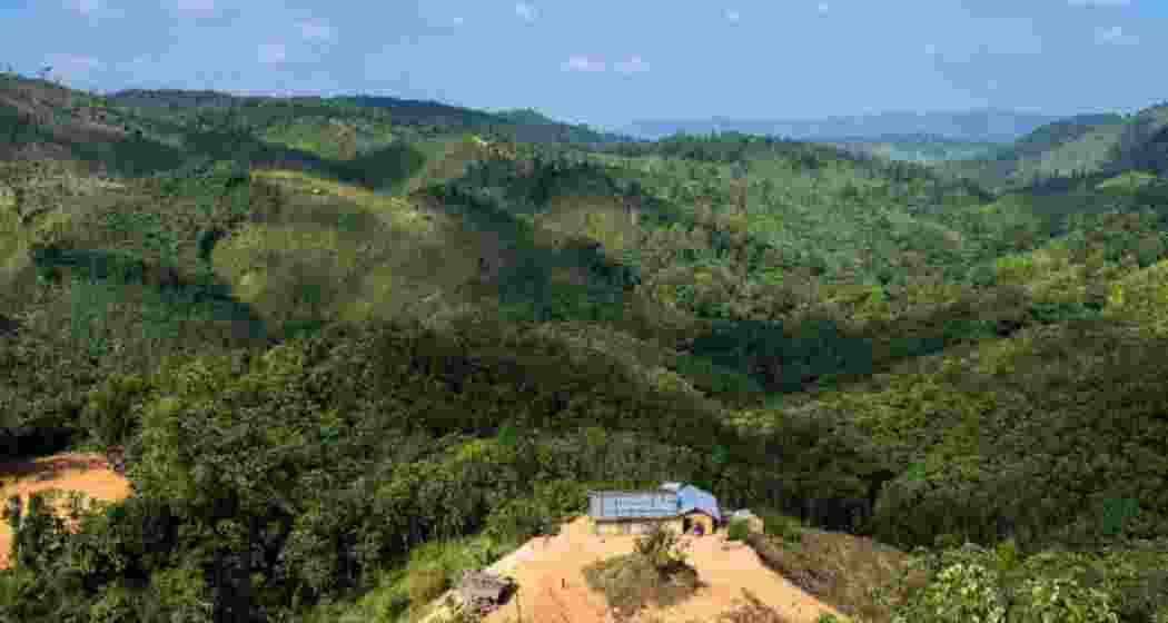 A view of the forested hills in Meghalaya’s Garo Hills region.