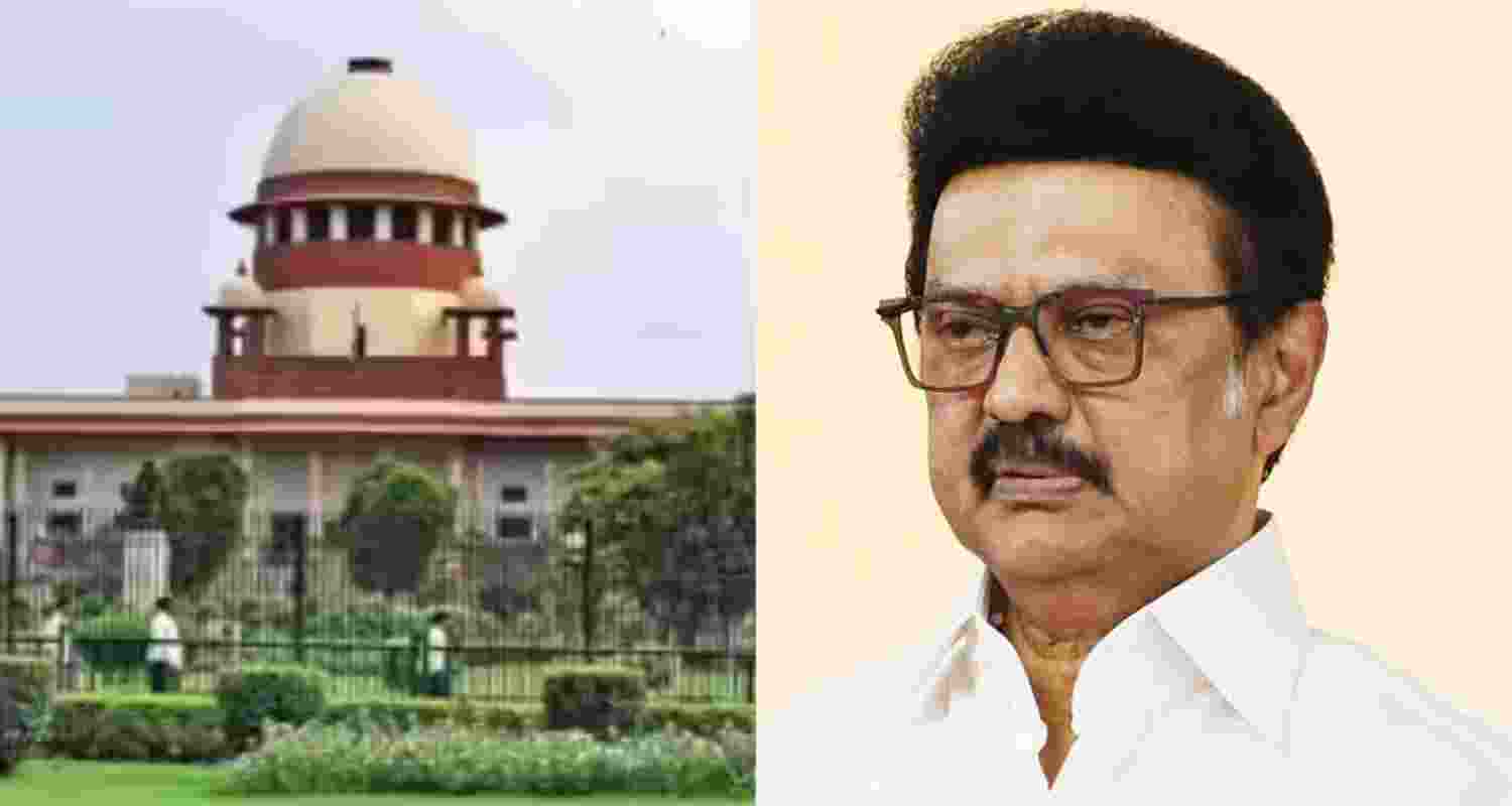 According to the state government, the allegation of negligence or dereliction of duty on the part of the Karur district administration and police authorities is "wholly baseless and devoid of merit."