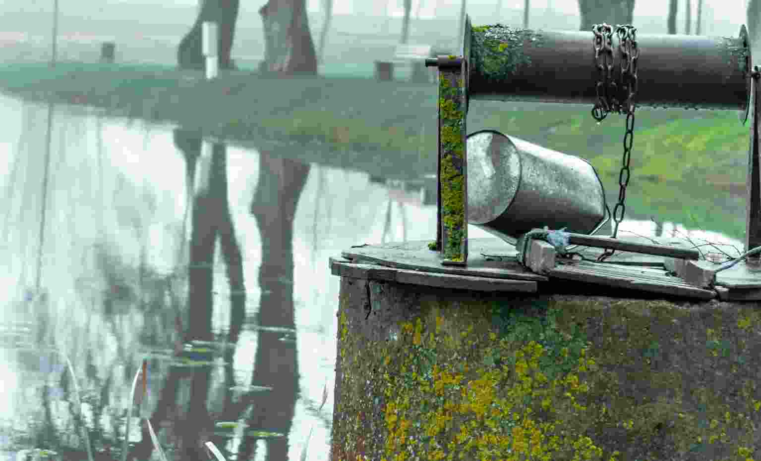 Warmer groundwater is harmful for the rich array of life found underground – and for the many plants and animals that depend on groundwater for their survival. 