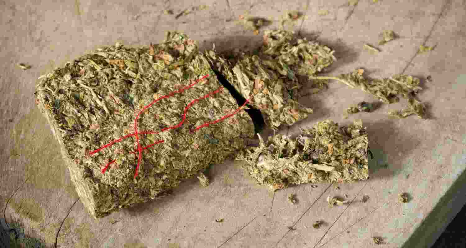 Representative Image. 