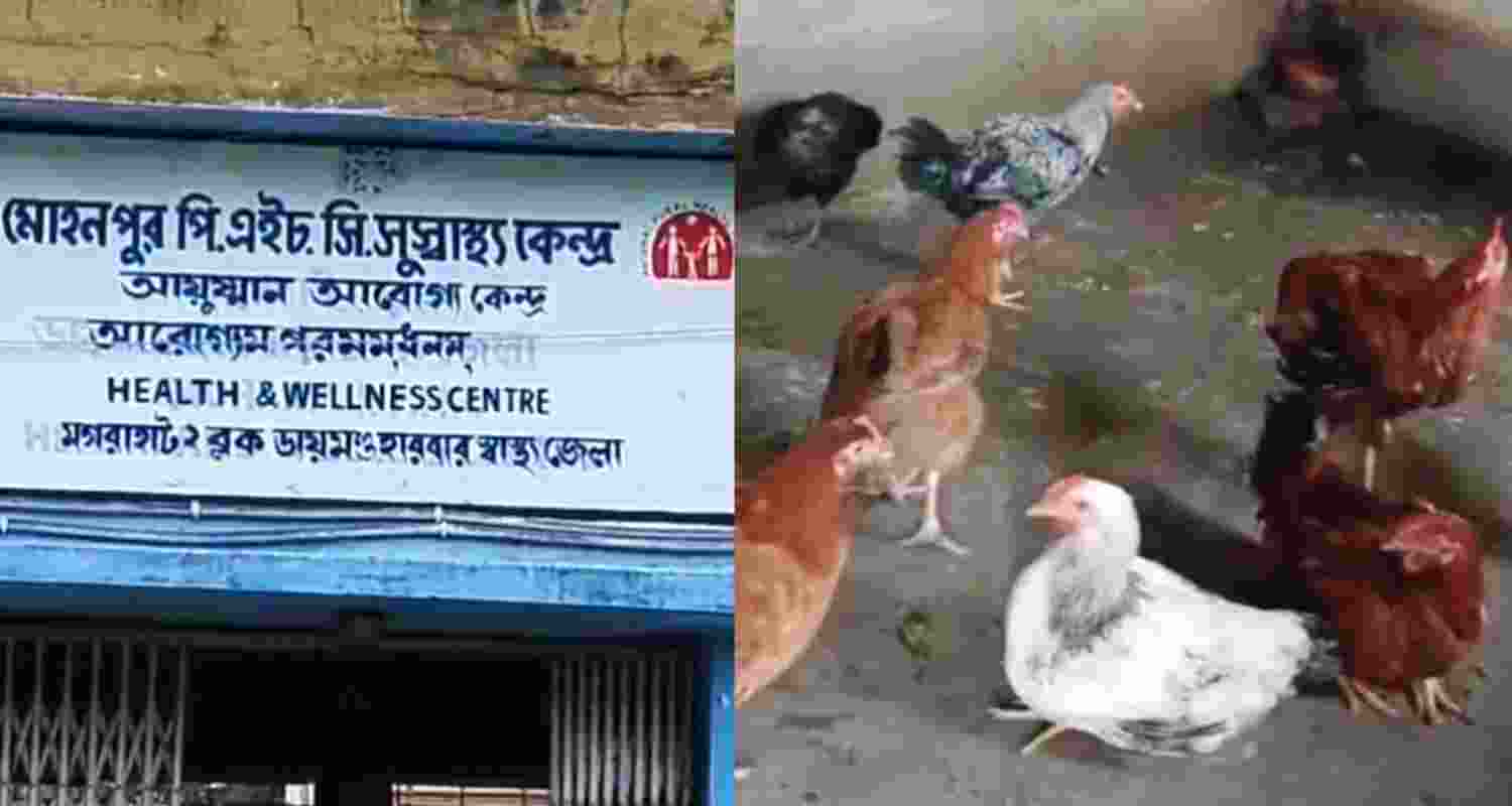 Rural healthcare center turns into cowshed in Bengal