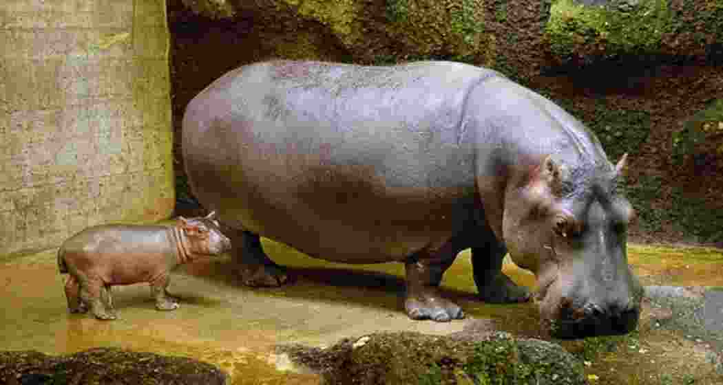 Image for representative use only.