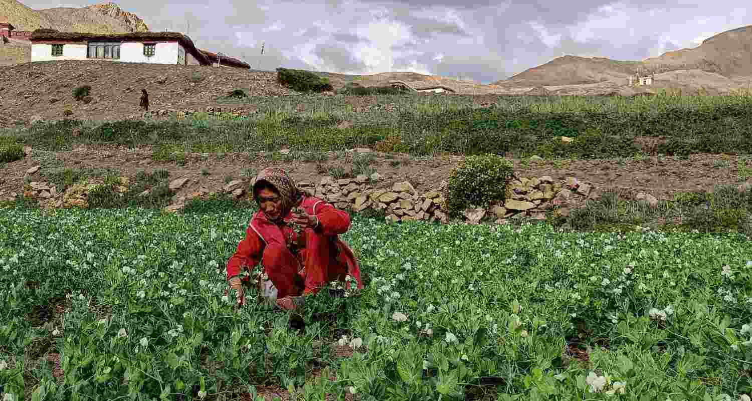 Representative Image. 