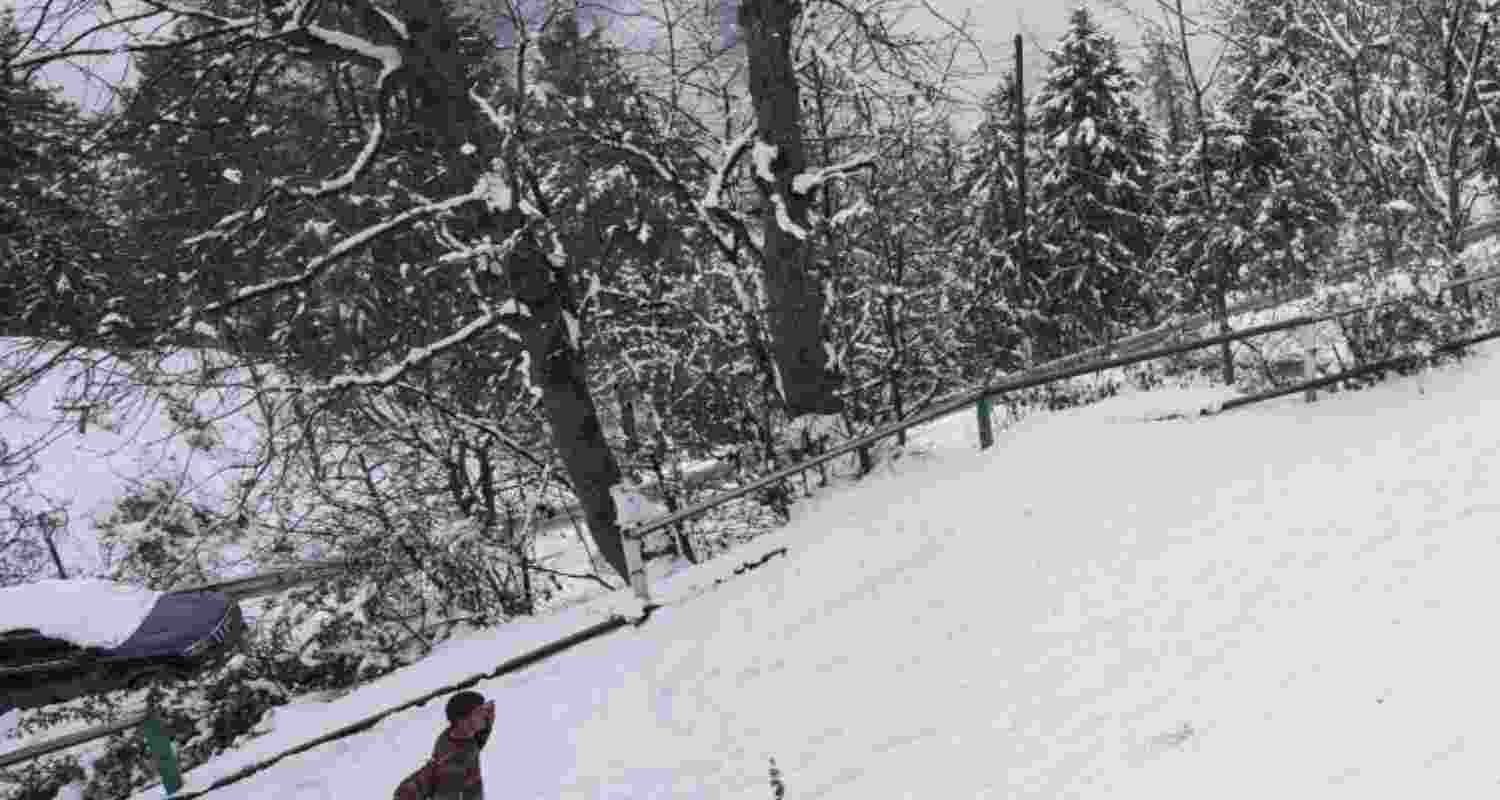Locals walk on a snow covered road after a fresh spell of snowfall, at Kufri near Shimla, Tuesday. 