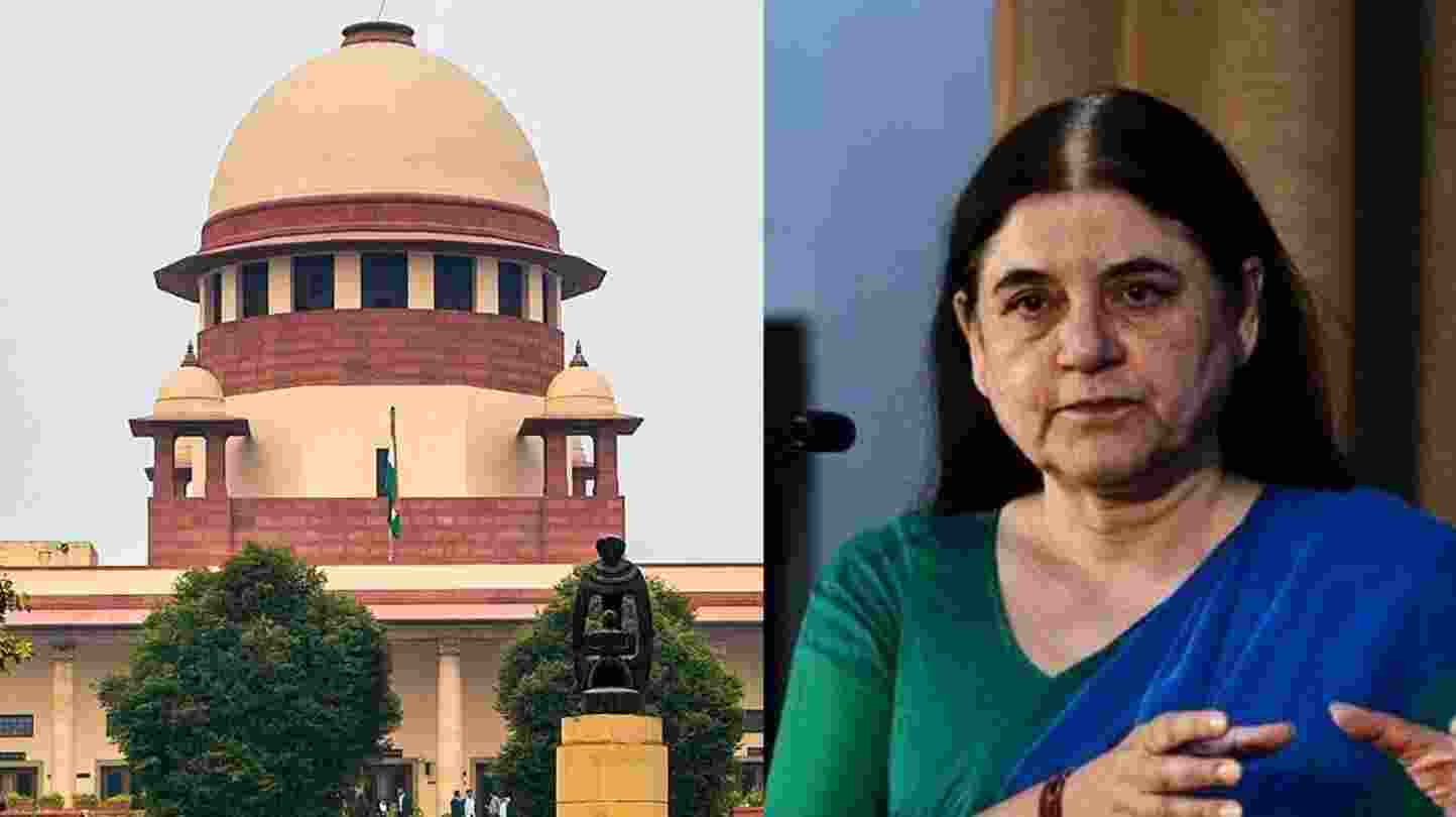 SC raps Maneka Gandhi for remarks on stray dogs issue