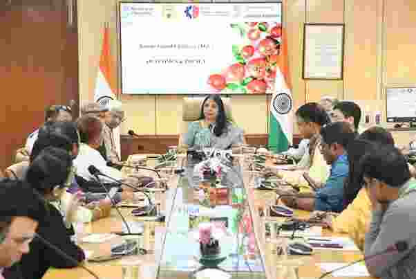 Govt funds 28 ideas to tackle tomato price volatility