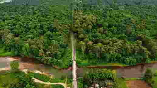 An aerial view of the lush Poba Reserve Forest in Assam's Dhemaji district, soon to be declared a wildlife sanctuary, showcasing its rich biodiversity and dense greenery along the riverine landscape.