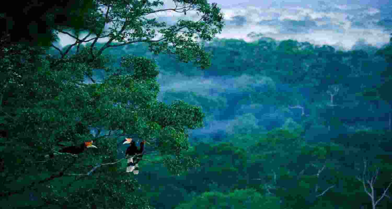 India’s biodiversity plan targets 30% protected areas