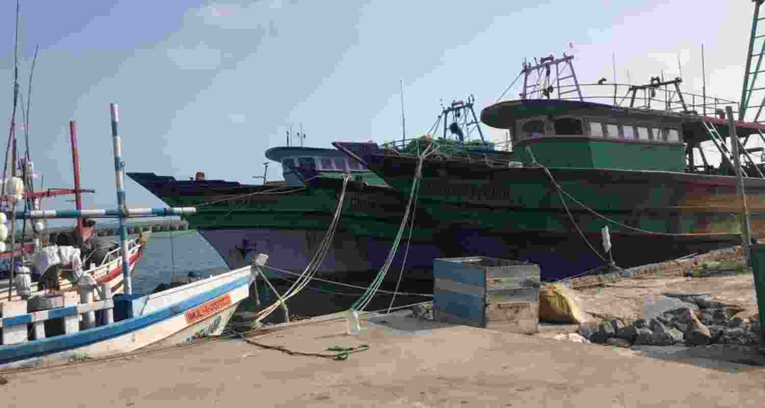 A representative image.