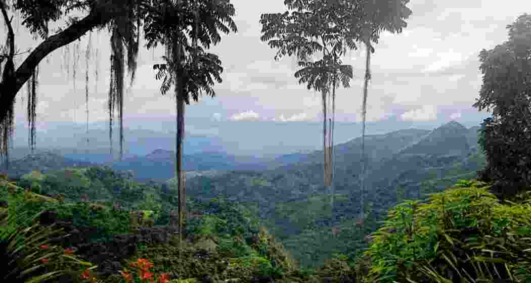 Image for representative use only.