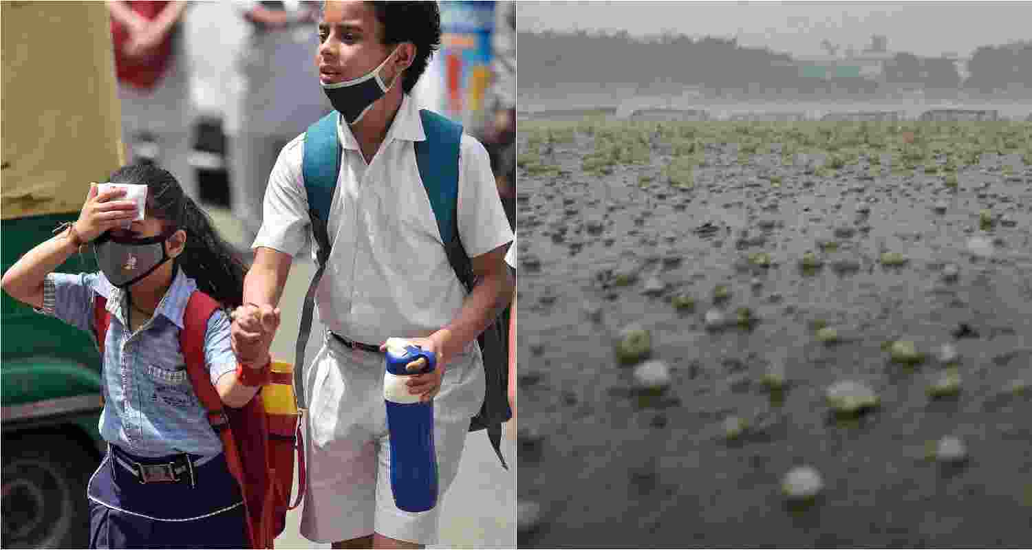 Contrasting images from two neighbouring states in India's northeast - Tripura, Mioram.