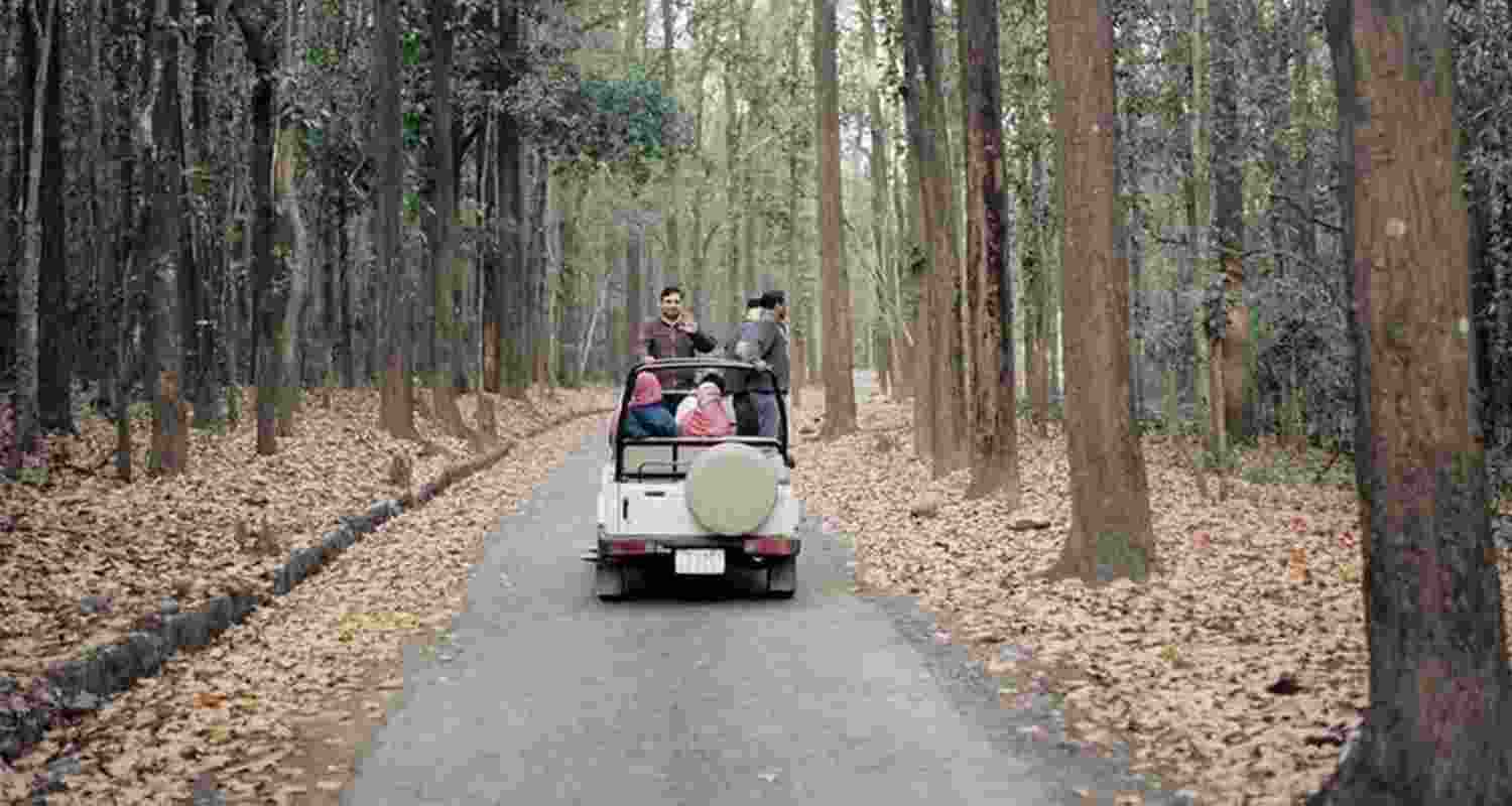 Representational image.