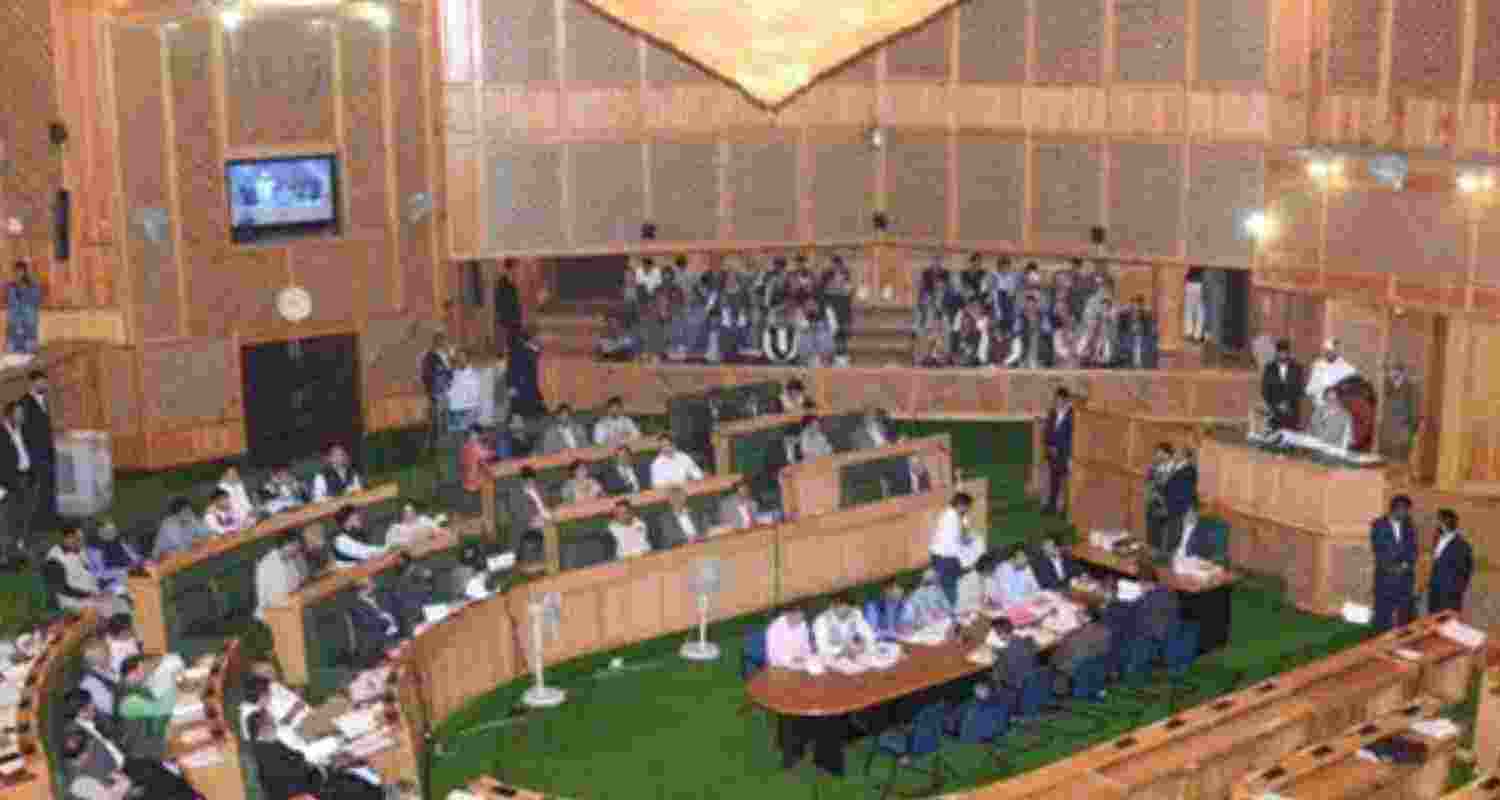  Representative Image. 